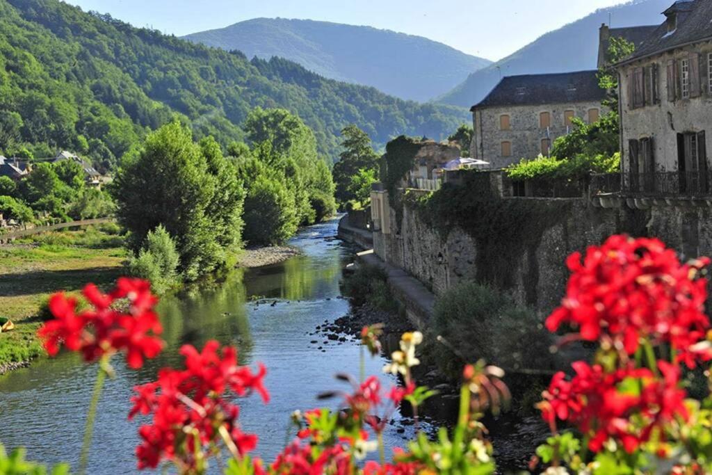 Au 11 T3 Duplex, Village Vacances, Piscines, Parking Saint-Geniez-dʼOlt Exteriör bild