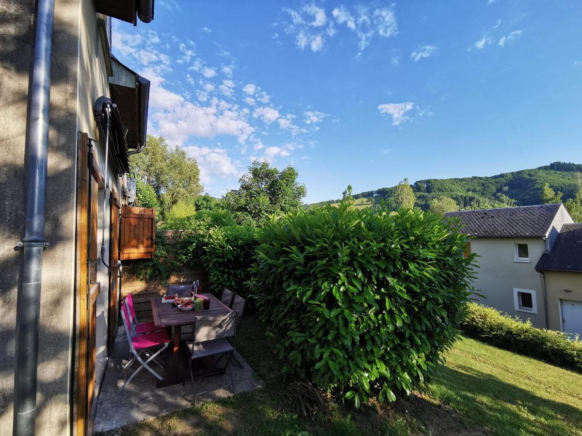 Au 11 T3 Duplex, Village Vacances, Piscines, Parking Saint-Geniez-dʼOlt Exteriör bild